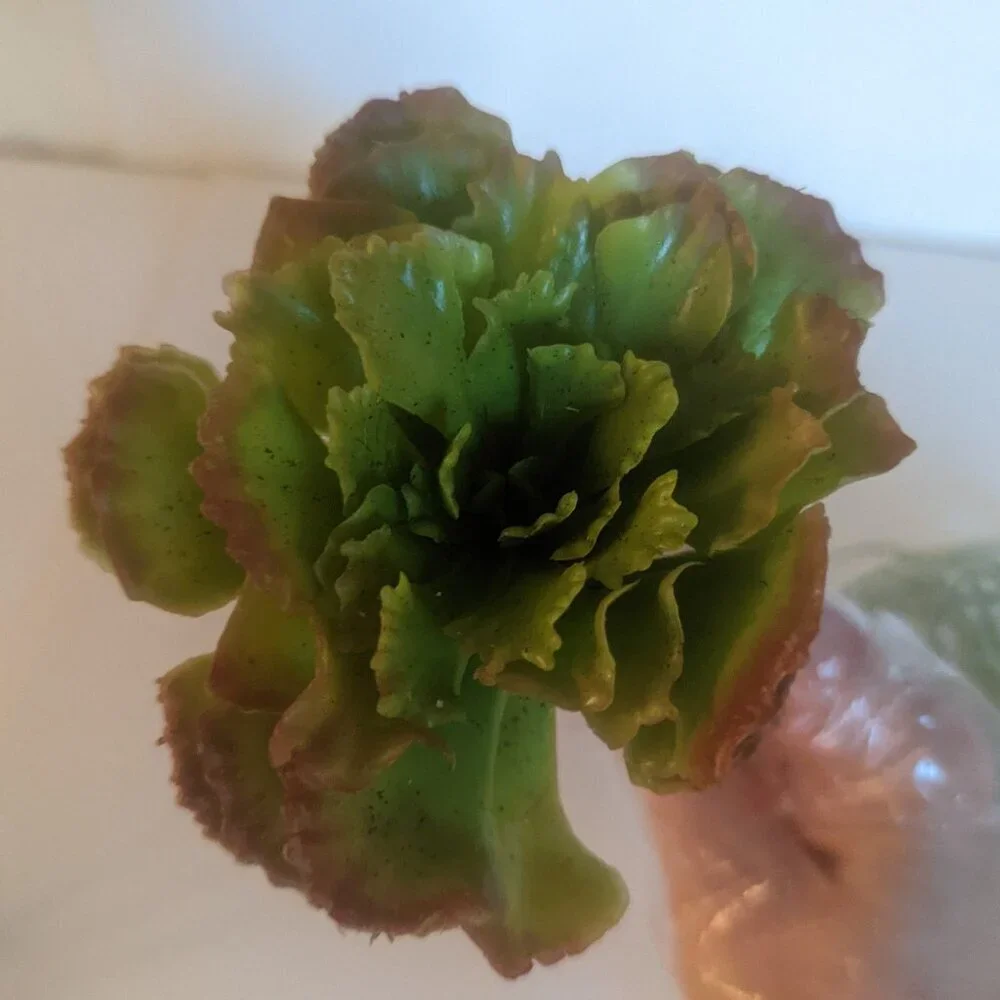 NWT Ashland 2 Spiky Tropical Cabbage Succulent Stems Faux Floral Decor Michael's